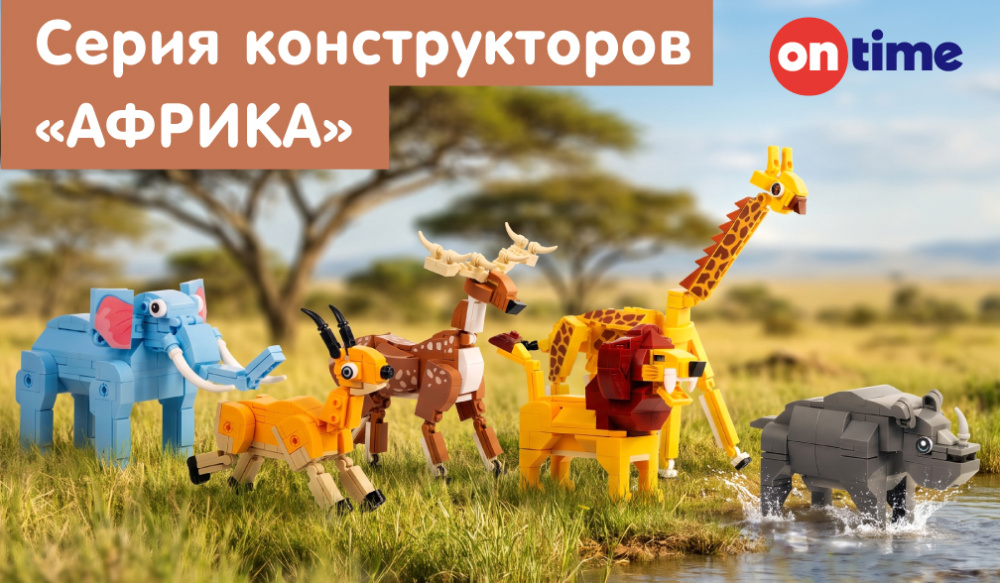 OnTime Африка