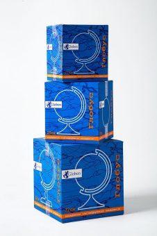 Глобус Зоогеографический (Детский), D-210 мм, без подсветки