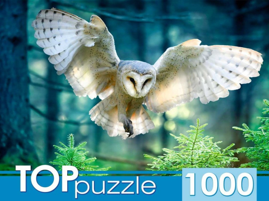 Пазлы 1000 Полет совы