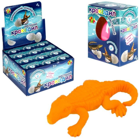 Домашний инкубатор, раст. Крокодил