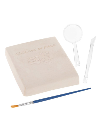 Набор раскопок "Стегозавр", светится в темноте