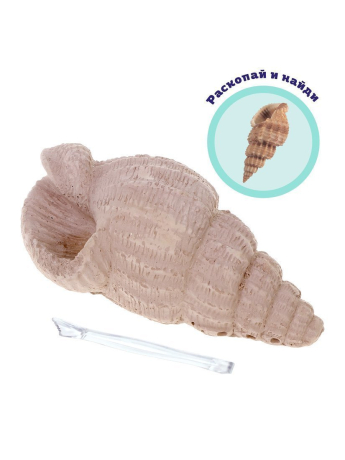 ДЕФЕКТ УПАКОВКИ Набор раскопок "Ракушка"