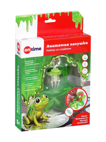 Набор со слаймом. Анатомия лягушки.