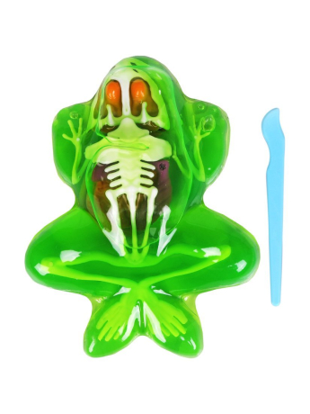 Набор со слаймом. Анатомия лягушки.