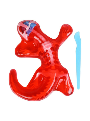 Набор со слаймом. Анатомия ящерицы.