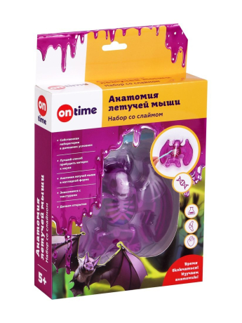 Набор со слаймом. Анатомия летучей мыши.