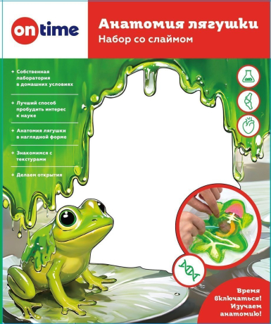 ДЕФЕКТ УПАКОВКИ Набор со слаймом. Анатомия лягушки.