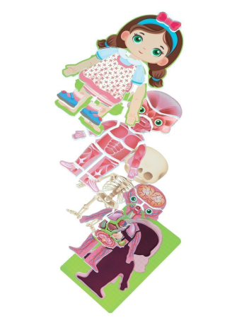 ДЕФЕКТ УПАКОВКИ 3Д обучающие пазлы для детей " Анатомия девочки".