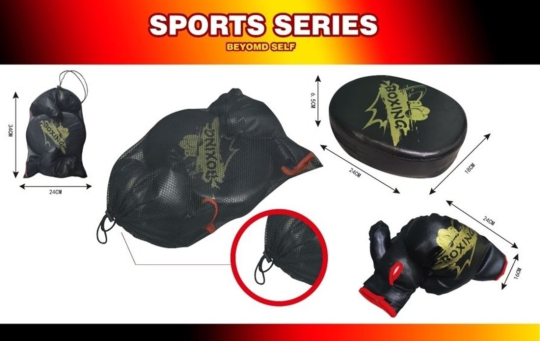 Набор для бокса Чемпион: лапа 24х18х6, 5 см., перчатки 2 шт. 24х16 см.