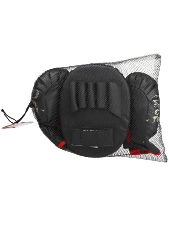 Набор для бокса Чемпион: лапа 24х18х6, 5 см., перчатки 2 шт. 24х16 см.