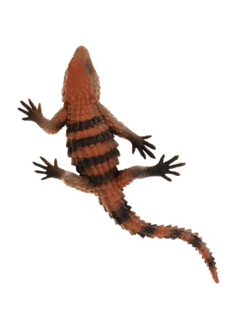 Ящерица, лист картонный