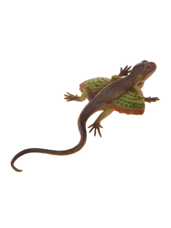 Ящерица, лист картонный