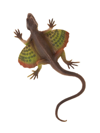 Ящерица, лист картонный