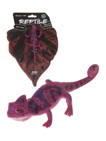 Ящерица, лист картонный