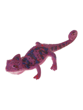 Ящерица, лист картонный