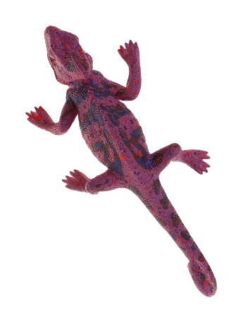 Ящерица, лист картонный