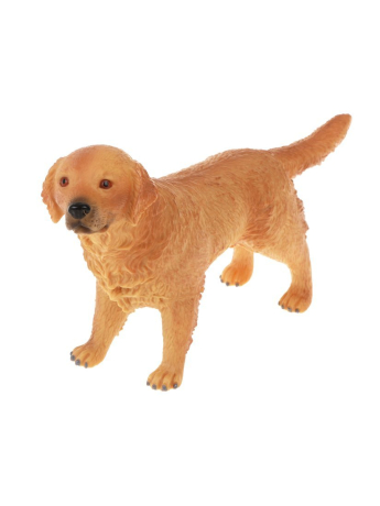 Собака, пакет