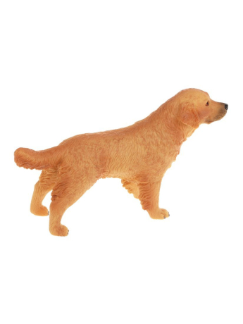 Собака, пакет