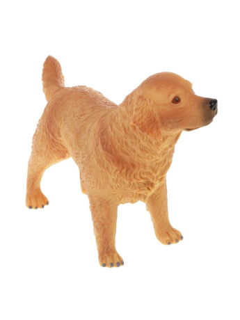 Собака, пакет