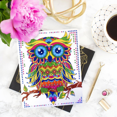 Набор д/творч. Алмазная мозаика «Сова», 17*21см