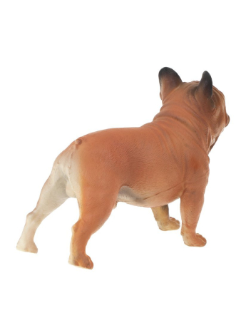 Собака, пакет