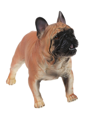 Собака, пакет