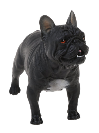 Собака, пакет