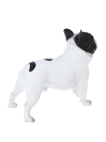 Собака, пакет