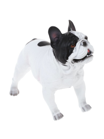 Собака, пакет