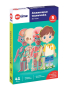 3Д обучающие пазлы для детей " Анатомия мальчика".