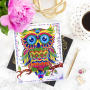 Набор д/творч. Алмазная мозаика «Сова», 17*21см