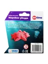 Игрушка ТМ ON TIME "Набор раскопок морская звезда"